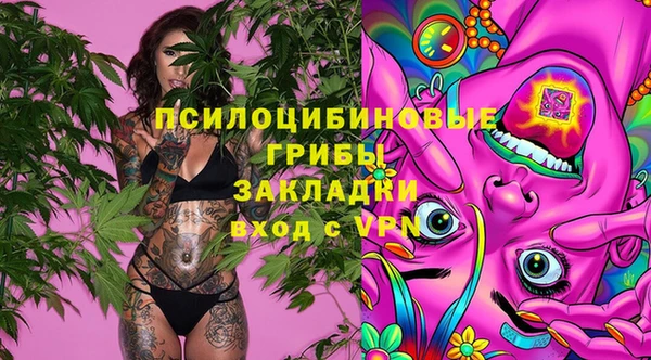 стаф Алзамай