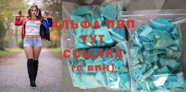 стаф Алзамай