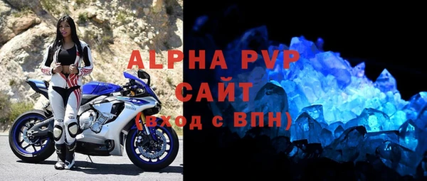 стаф Алзамай