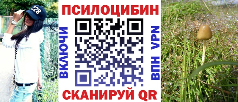 Галлюциногенные грибы MAGIC MUSHROOMS  купить наркоту  Кореновск 